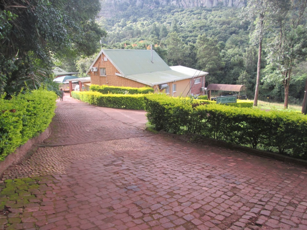 Guesthouse for sale in Makhado (Louis Trichardt) - 1PS1659730 Guesthouse for sale in Makhado (Louis Trichardt) - 1PS1659730