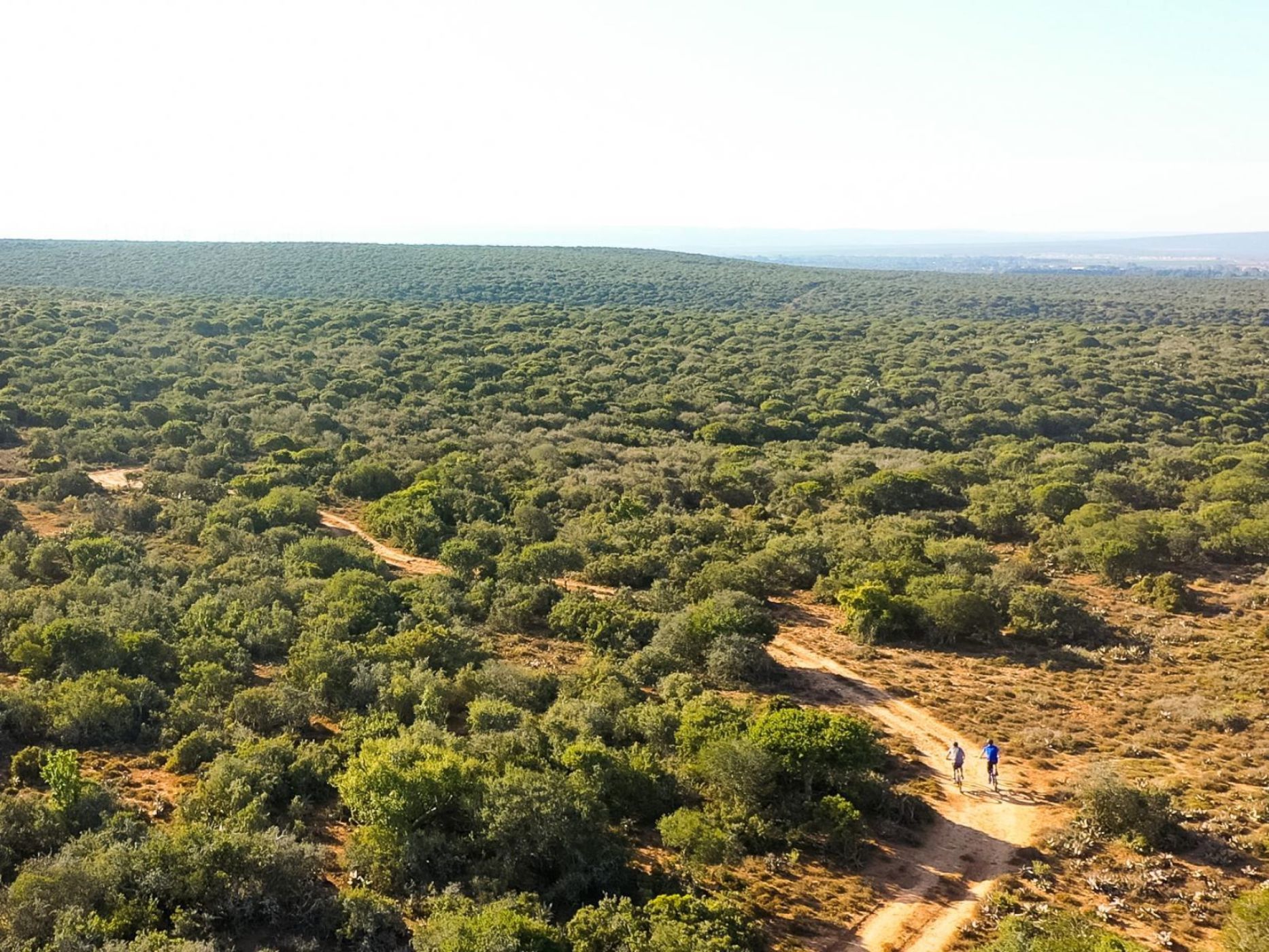 Game farm for sale in Addo - 1PLZ1657972