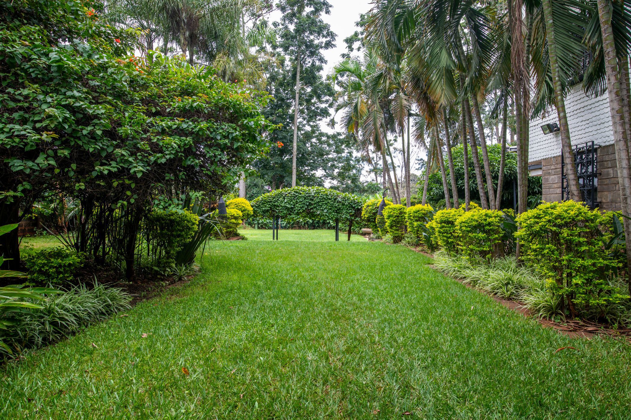 Double-storey house let in Kyuna , Kenya - 3KE1660127