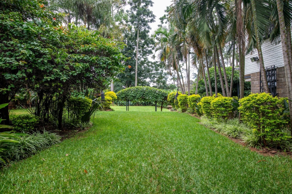 Double-storey house let in Kyuna , Kenya - 3KE1660127 Double-storey house let in Kyuna , Kenya - 3KE1660127