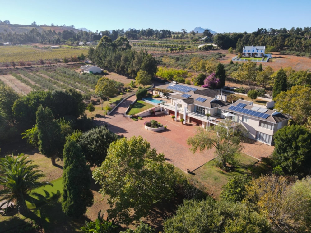 Olive farm for sale in Stellenbosch Farms - ST1656306 Olive farm for sale in Stellenbosch Farms - ST1656306
