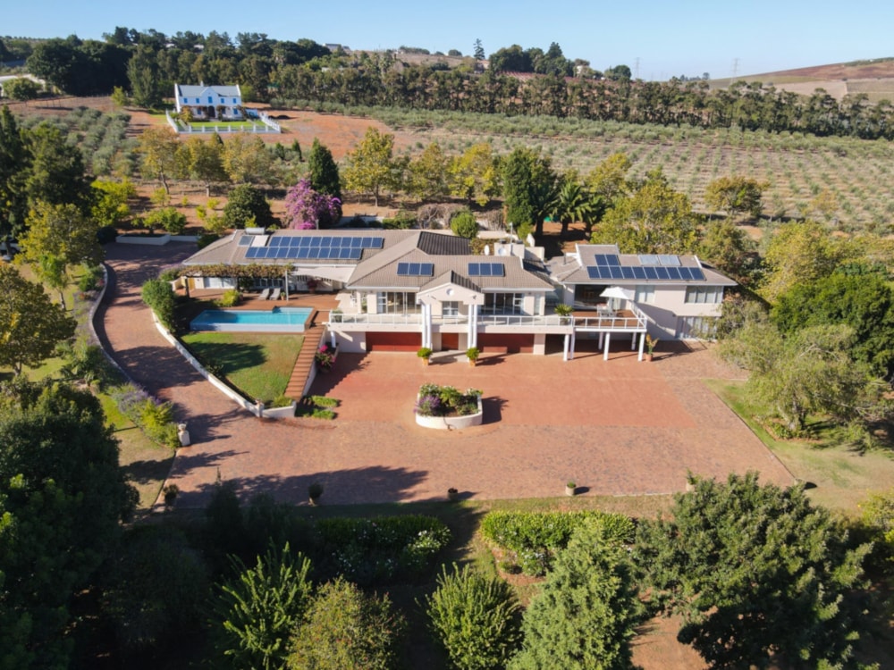 Olive farm for sale in Stellenbosch Farms - ST1656306 Olive farm for sale in Stellenbosch Farms - ST1656306