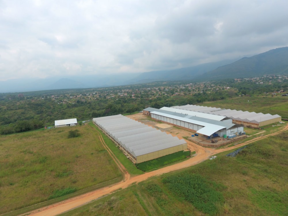 Mixed use farm for sale in Barberton Rural - 1NK1656458