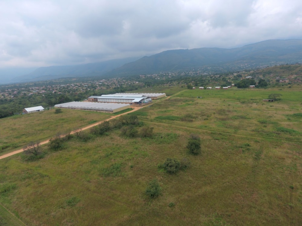 Mixed use farm for sale in Barberton Rural - 1NK1656458