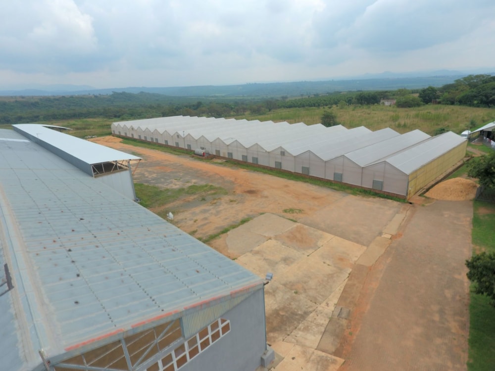 Mixed use farm for sale in Barberton Rural - 1NK1656458