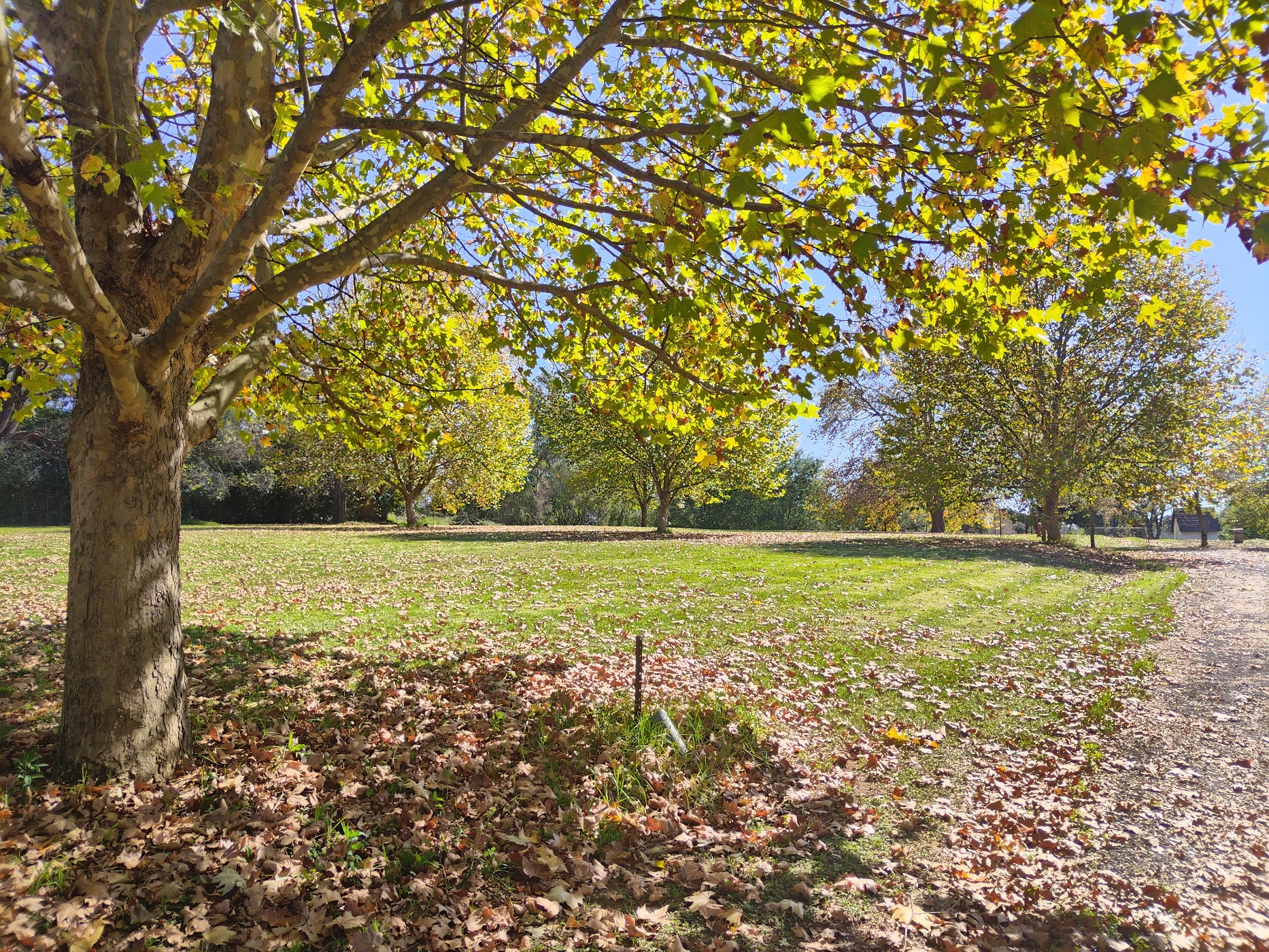 Vacant land for sale in Nottingham Road - 1PM1657285