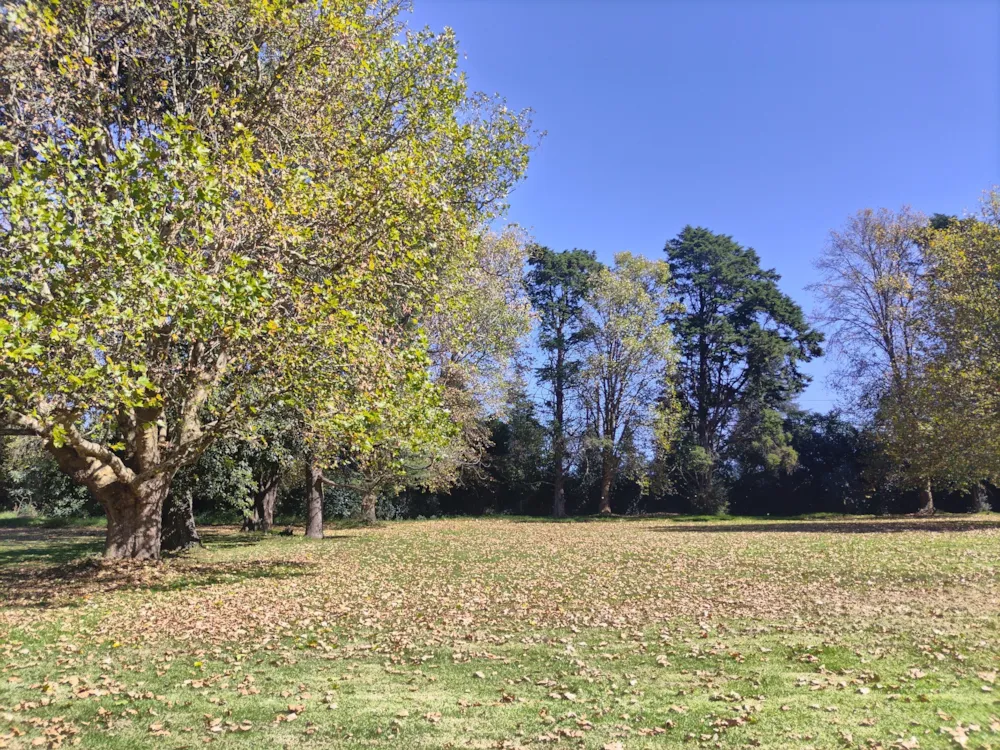 Vacant land for sale in Nottingham Road - 1PM1657285 Vacant land for sale in Nottingham Road - 1PM1657285
