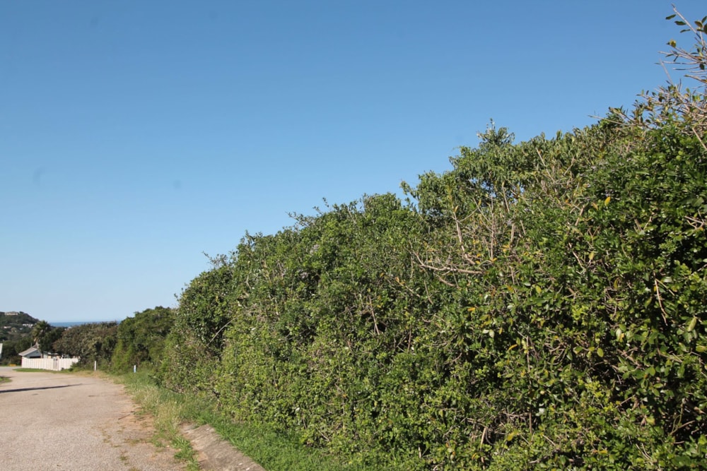 Vacant land for sale in Kleinemonde - 1PF1658872