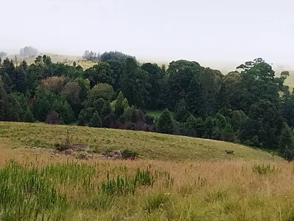 Farm vacant land for sale in Graskop - 1LY1657245