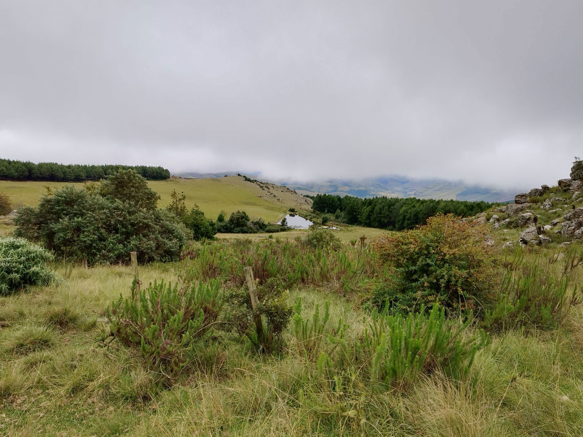 Farm vacant land for sale in Graskop - 1LY1657245