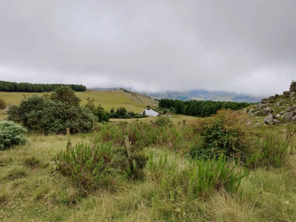 Farm vacant land for sale in Graskop - 1LY1657245