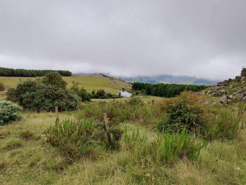 Farm vacant land for sale in Graskop - 1LY1657245 Farm vacant land for sale in Graskop - 1LY1657245