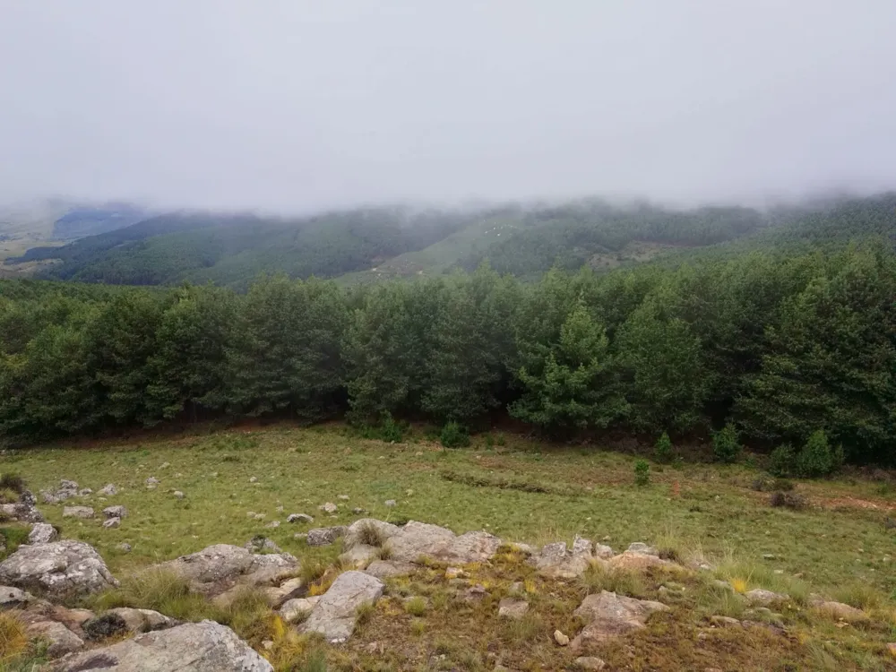 Farm vacant land for sale in Graskop - 1LY1657245