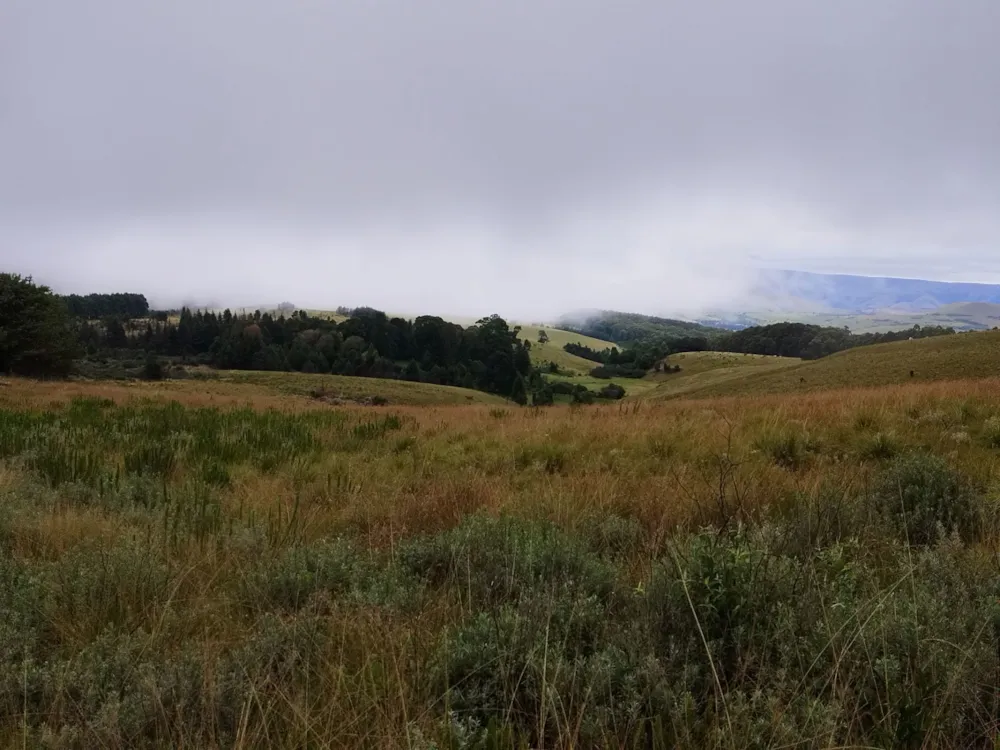 Farm vacant land for sale in Graskop - 1LY1657245