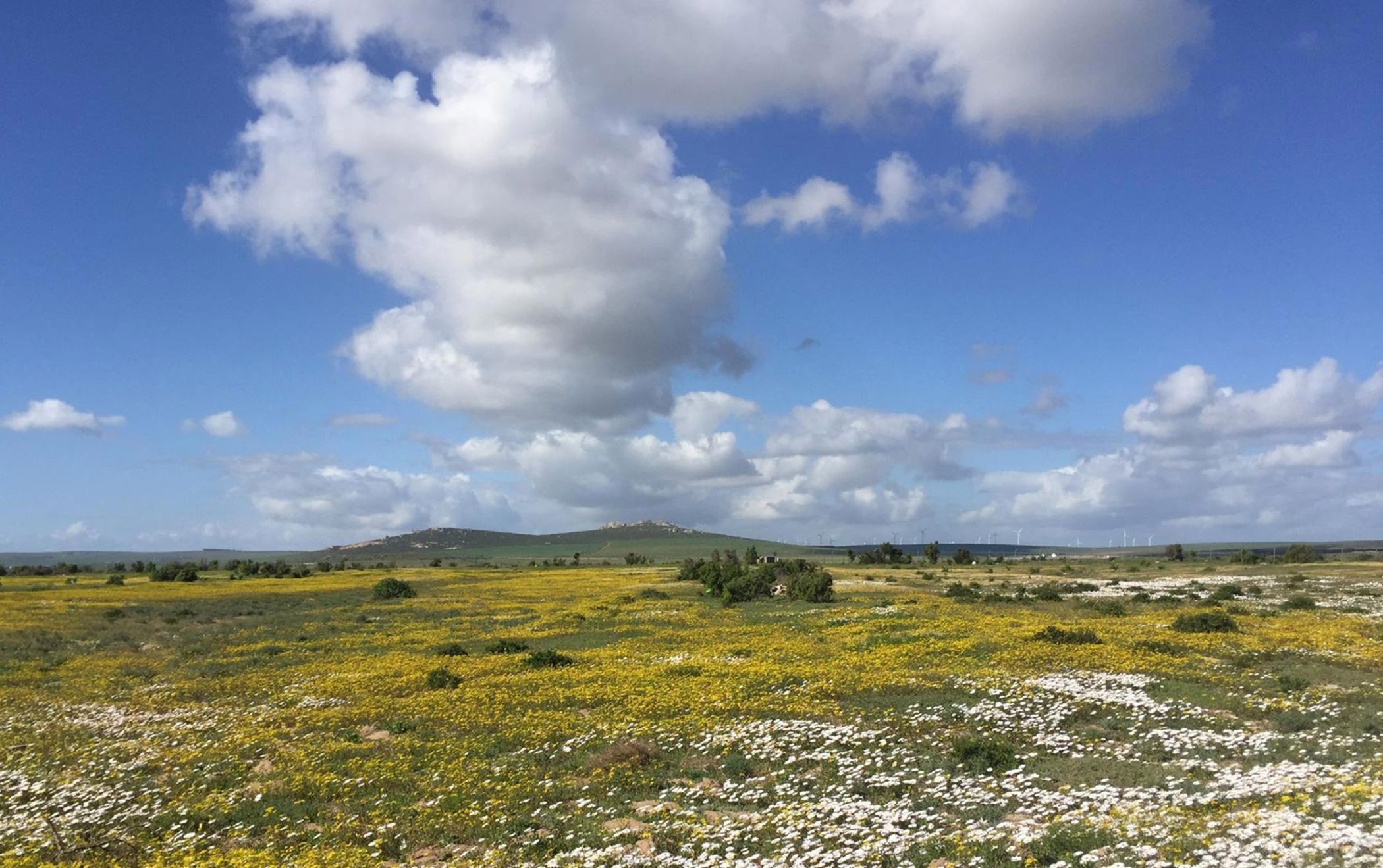 House for sale in Paternoster - LA1657629