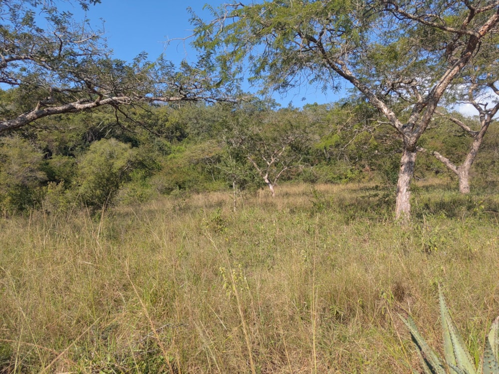 Vacant land for sale in Mbombela Central (Nelspruit Central) - 1NS1657372
