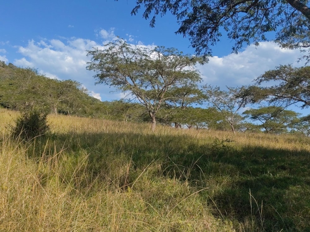 Vacant land for sale in Mbombela Central (Nelspruit Central) - 1NS1657372