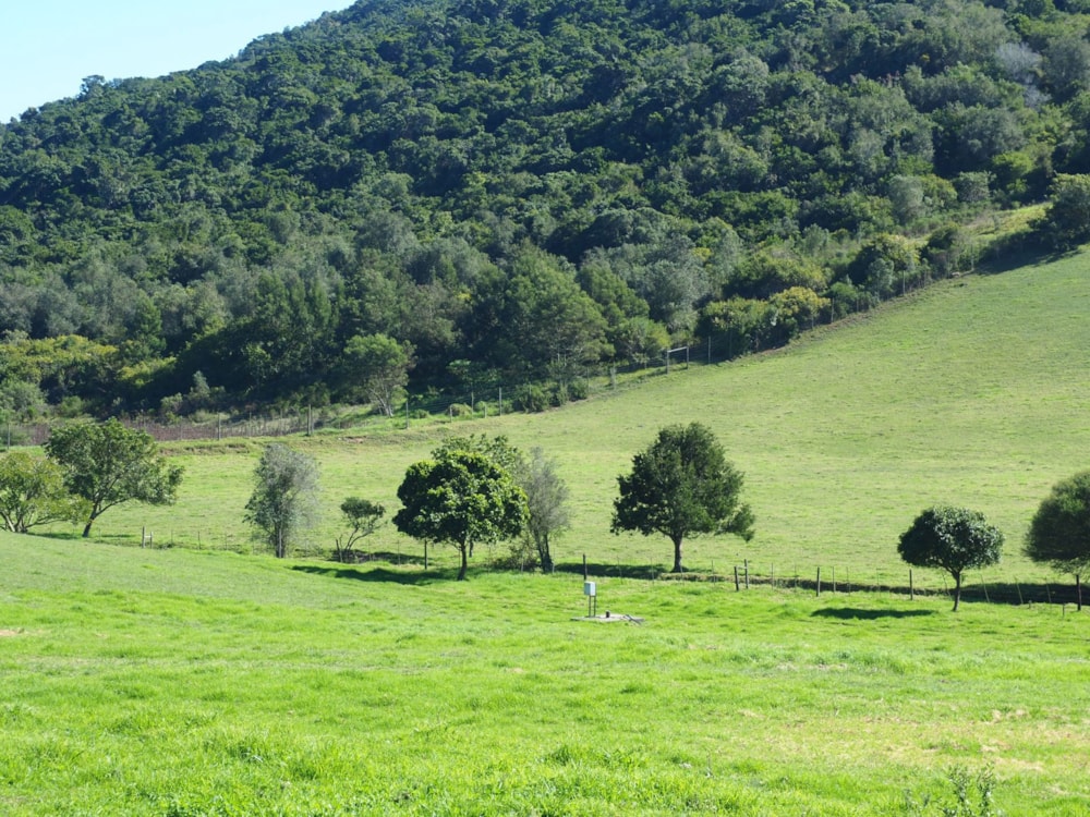 Mixed use farm for sale in Plettenberg Bay Rural - 1KG1658670 Mixed use farm for sale in Plettenberg Bay Rural - 1KG1658670