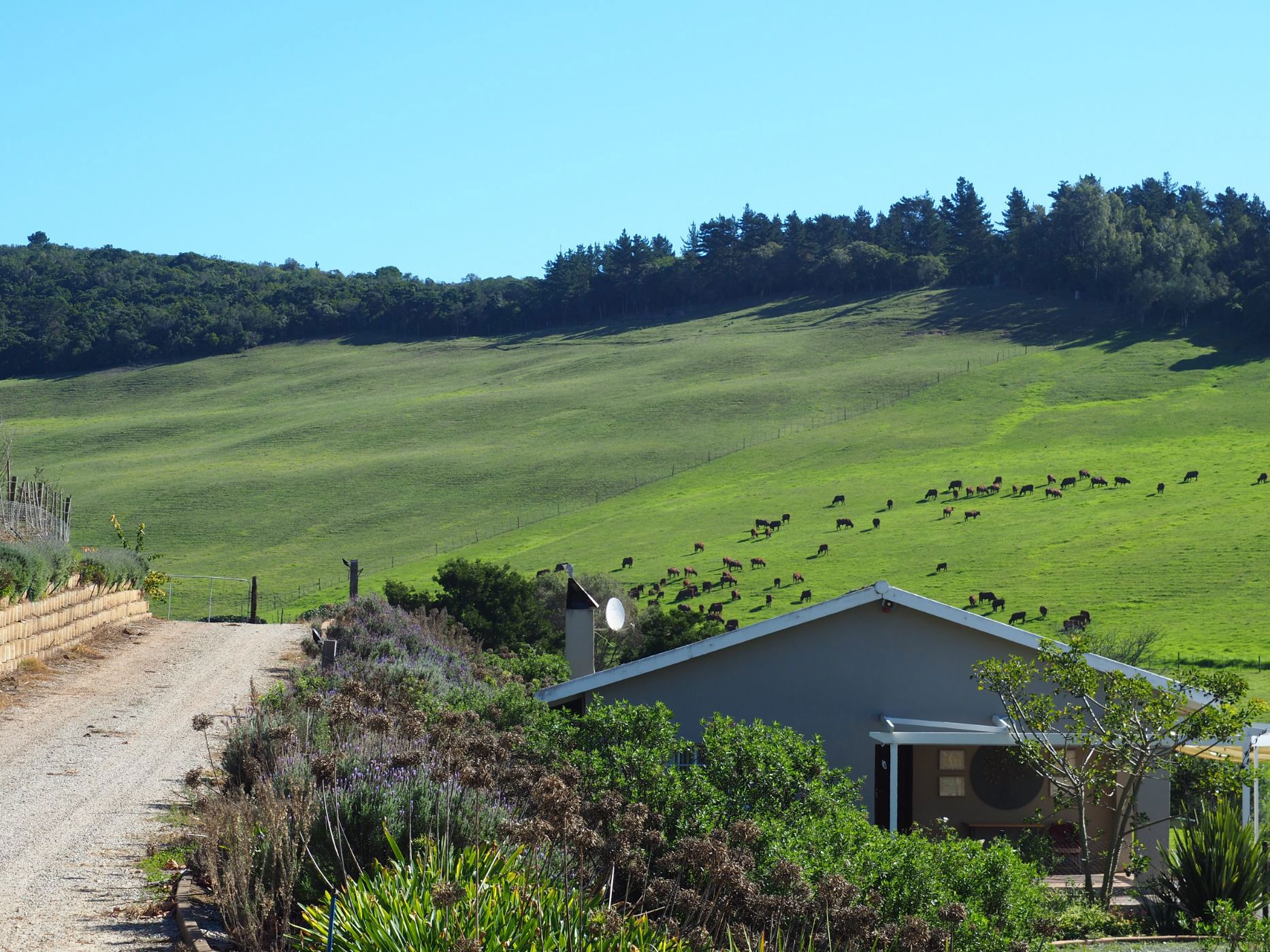 Mixed use farm for sale in Plettenberg Bay Rural - 1KG1658670