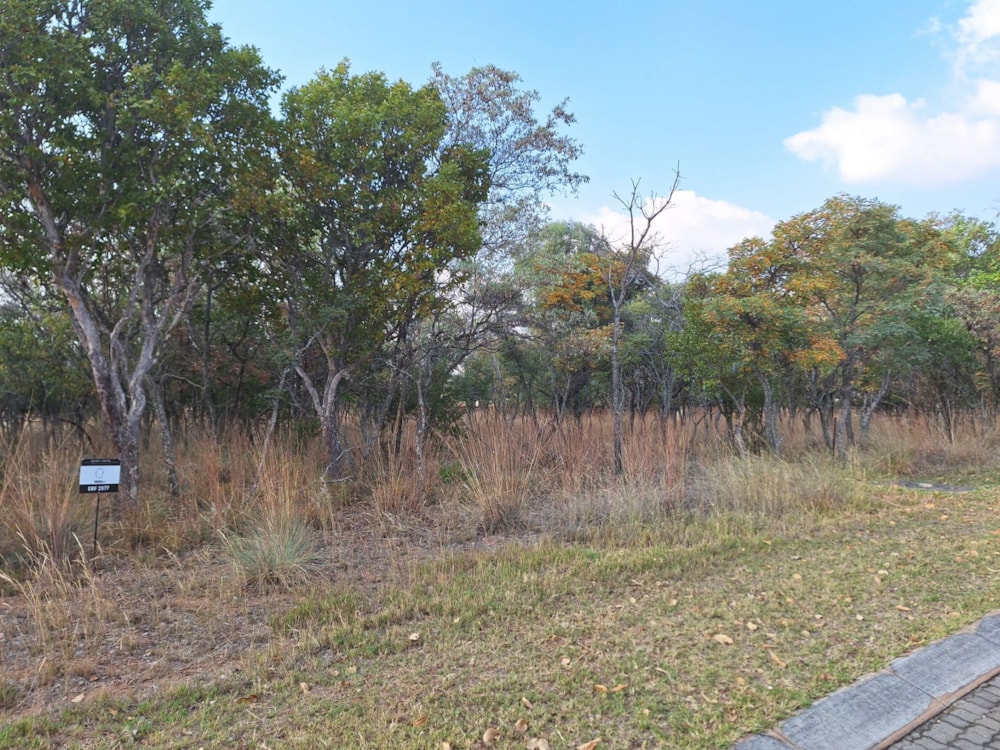 Vacant land for sale in Modimolle (Nylstroom) - 1MDM1657989