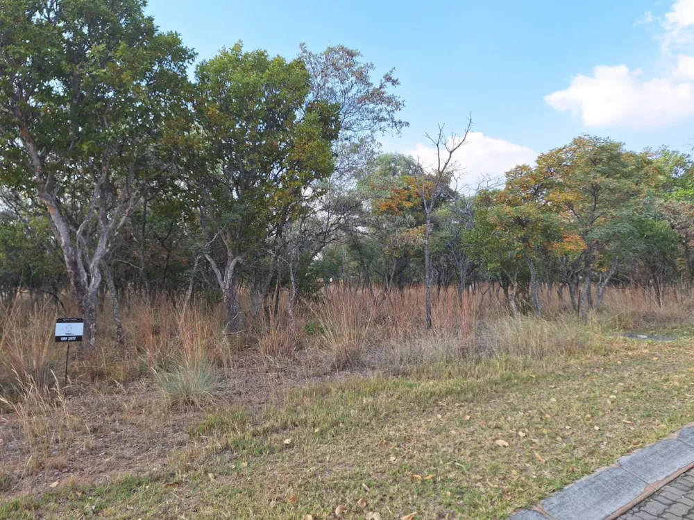 Vacant land for sale in Modimolle (Nylstroom) - 1MDM1657989 Vacant land for sale in Modimolle (Nylstroom) - 1MDM1657989