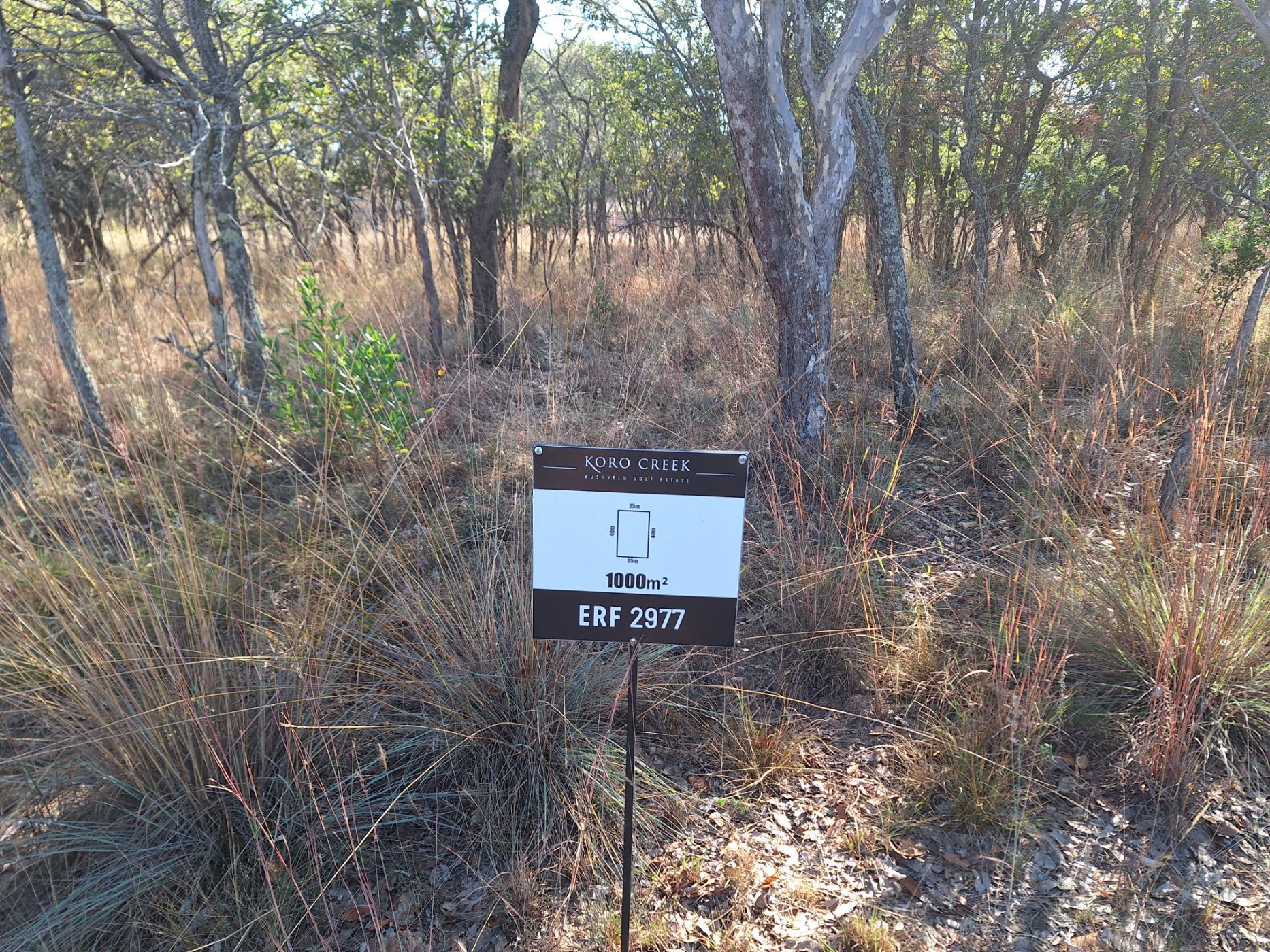 Vacant land for sale in Modimolle (Nylstroom) - View 4
