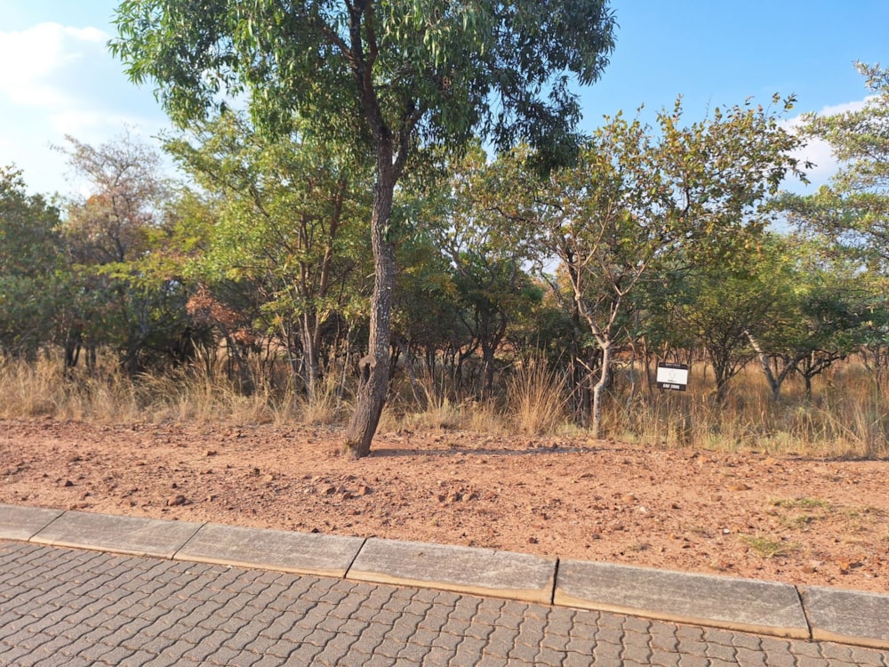 Vacant land for sale in Modimolle (Nylstroom) - 1MDM1657997