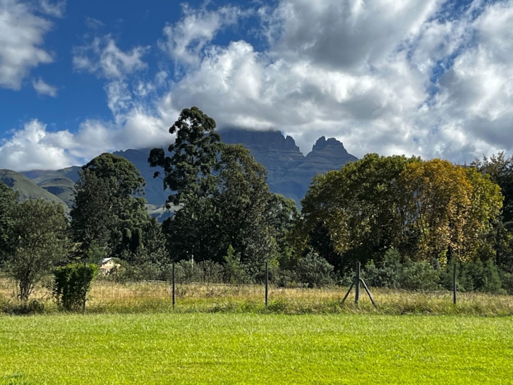 House for sale in Cathkin Park - 1PM1658057