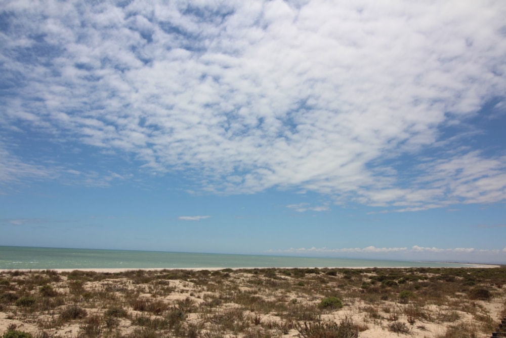 Vacant land sold in Laaiplek - LA1658063