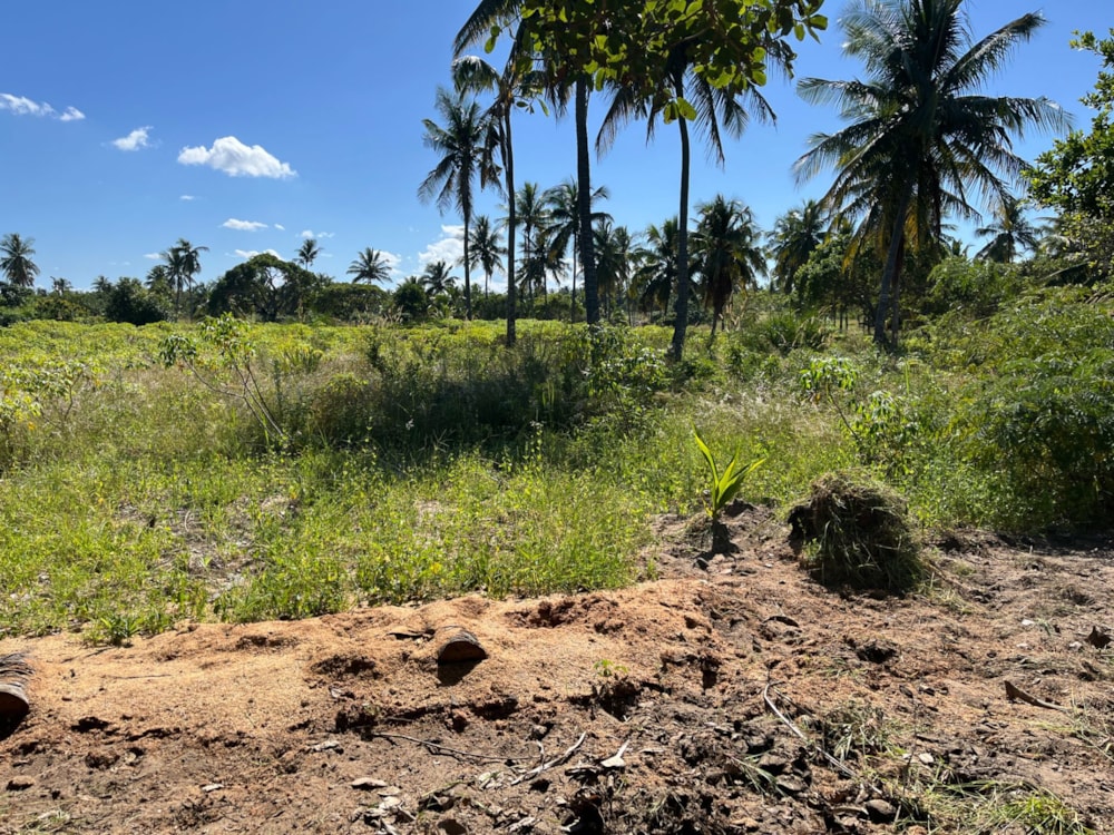 Vacant land for investment in Inhambane, Inhambane, Mozambique - 3MQ1658241