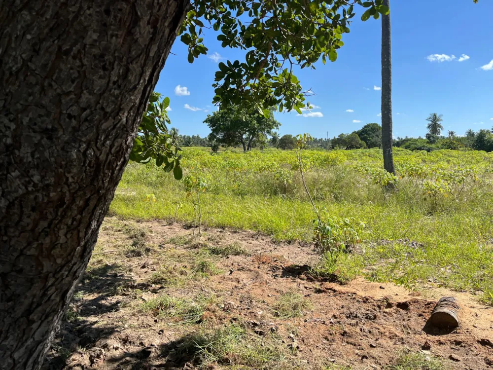 Vacant land for investment in Inhambane, Inhambane, Mozambique - 3MQ1658241