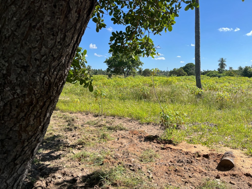 Vacant land for investment in Inhambane, Inhambane, Mozambique - 3MQ1658241