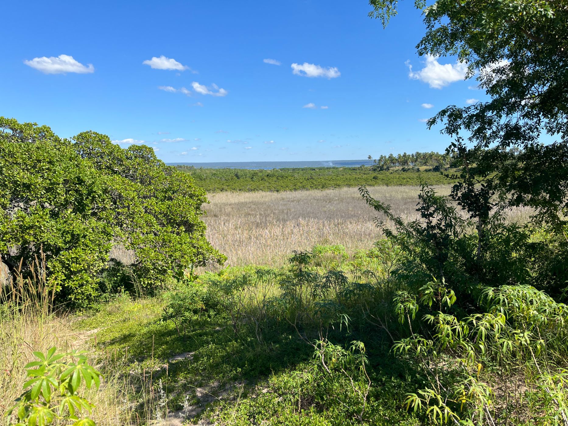 Vacant land for investment in Inhambane, Inhambane, Mozambique - 3MQ1658241
