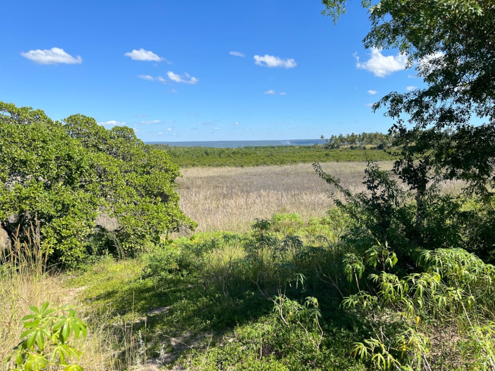 Vacant land for investment in Inhambane, Inhambane, Mozambique - 3MQ1658241