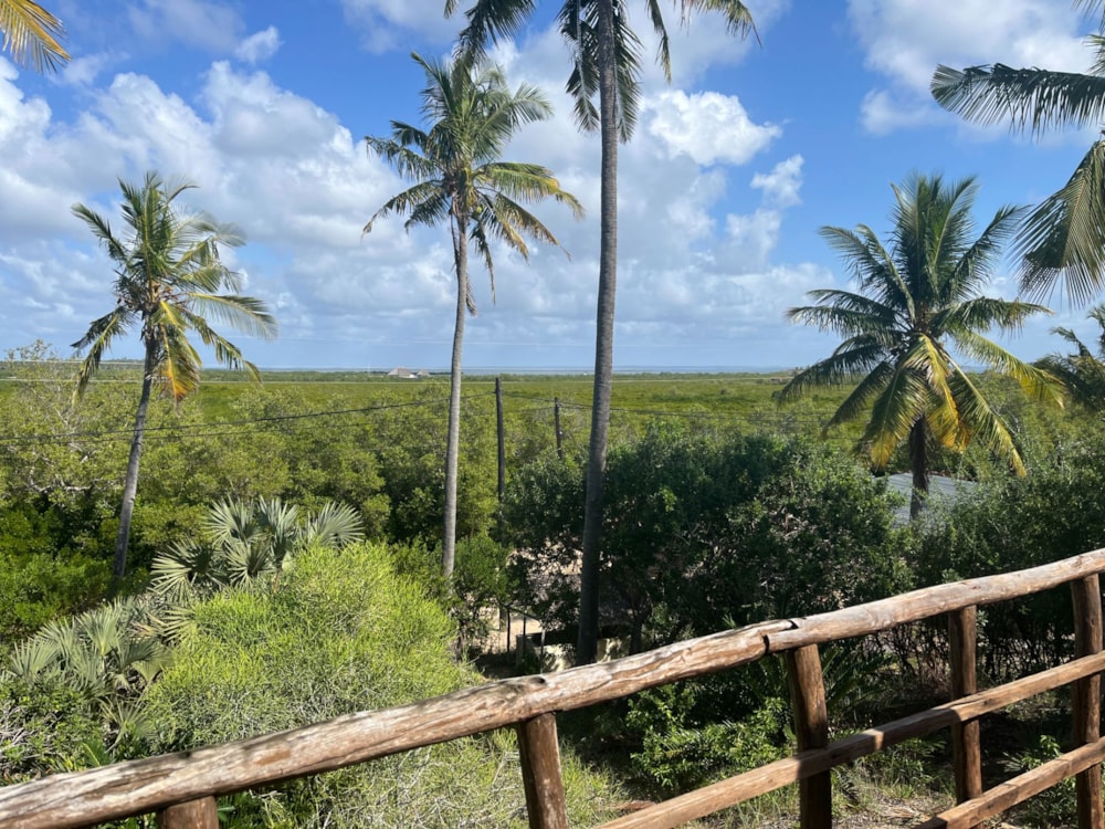 Beach bungalow for sale in Praia da Barra, Mozambique - 3MQ1659030 Beach bungalow for sale in Praia da Barra, Mozambique - 3MQ1659030