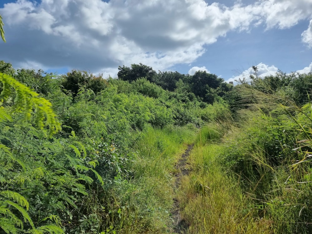 Residential vacant land for sale in Cap Malheureux, Mauritius - MPR1659397