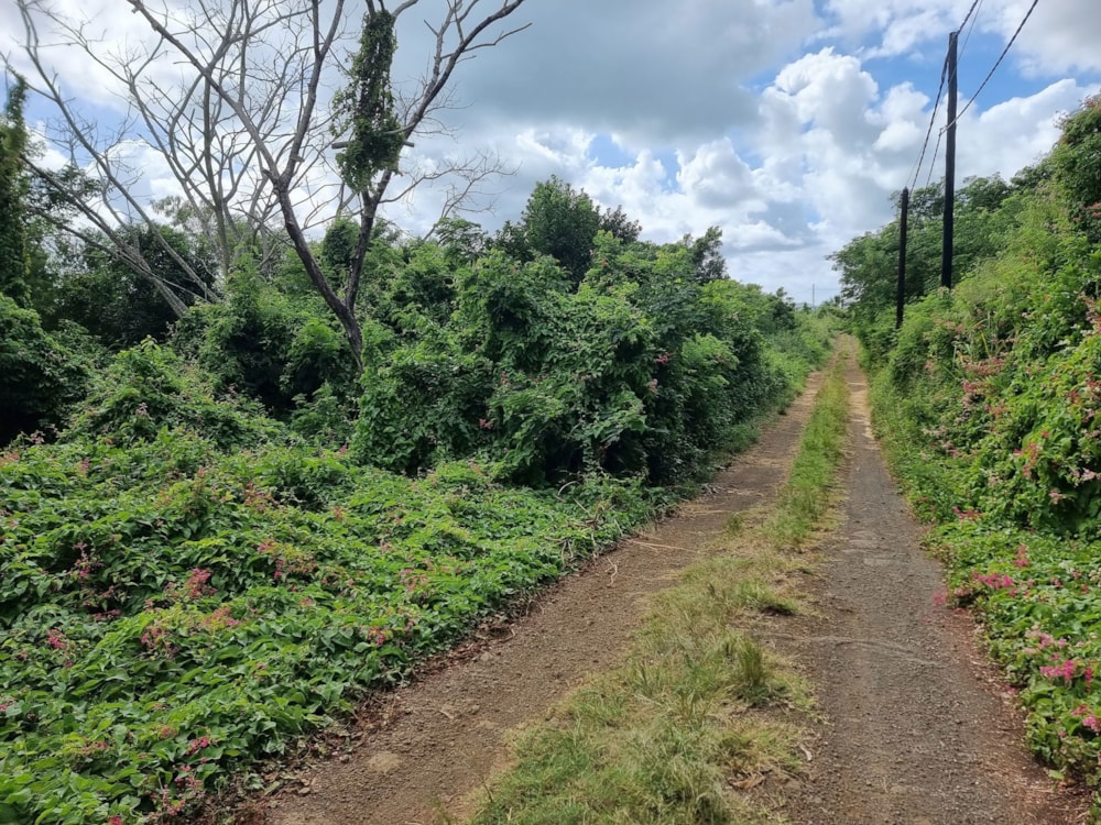 Residential vacant land for sale in Cap Malheureux, Mauritius - MPR1659397