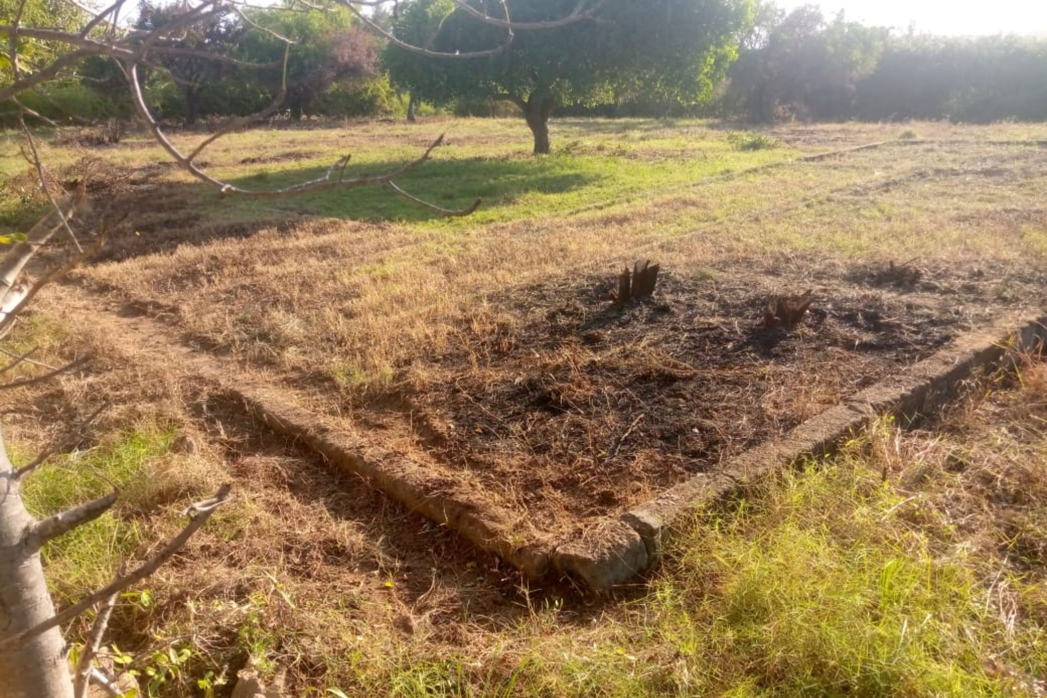 Vacant land for investment in Chidenguele, Gaza, Mozambique - 3MQ1660089