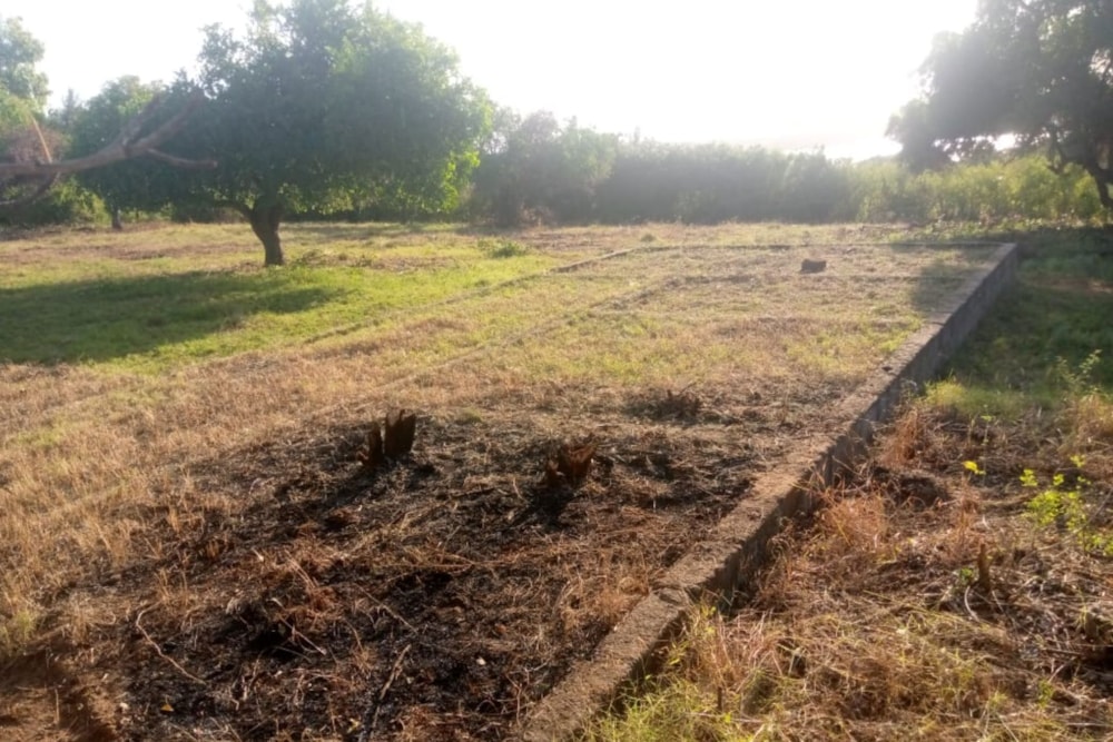 Vacant land for investment in Chidenguele, Gaza, Mozambique - 3MQ1660089