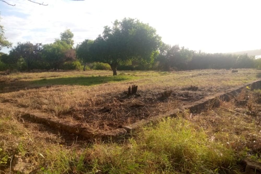Vacant land for investment in Chidenguele, Gaza, Mozambique - 3MQ1660089