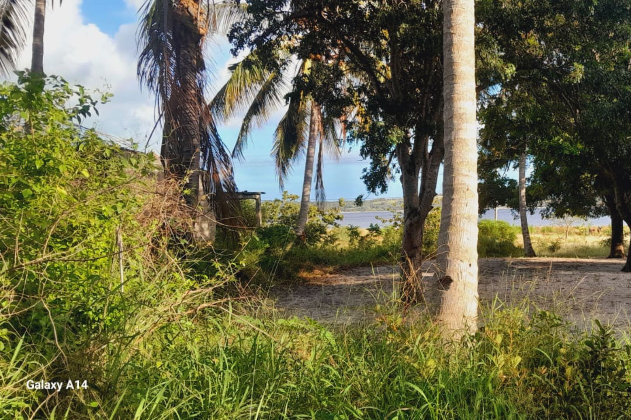 Vacant land for investment in Bilene, Mozambique - 3MQ1660093