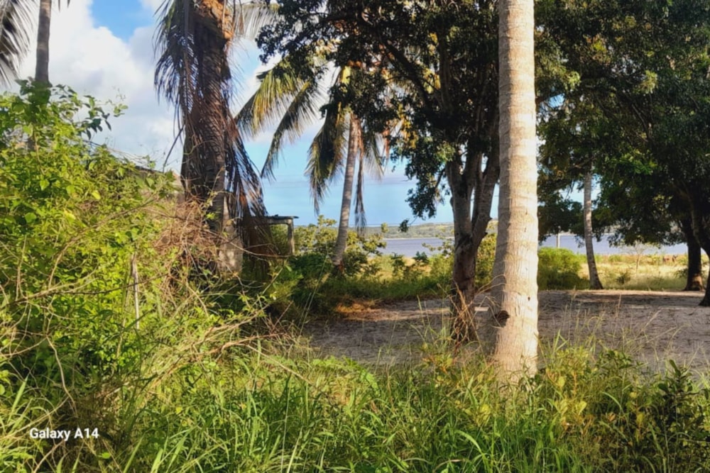 Vacant land for investment in Bilene, Mozambique - 3MQ1660093