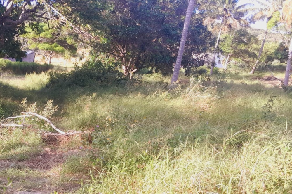 Vacant land for investment in Bilene, Mozambique - 3MQ1660093