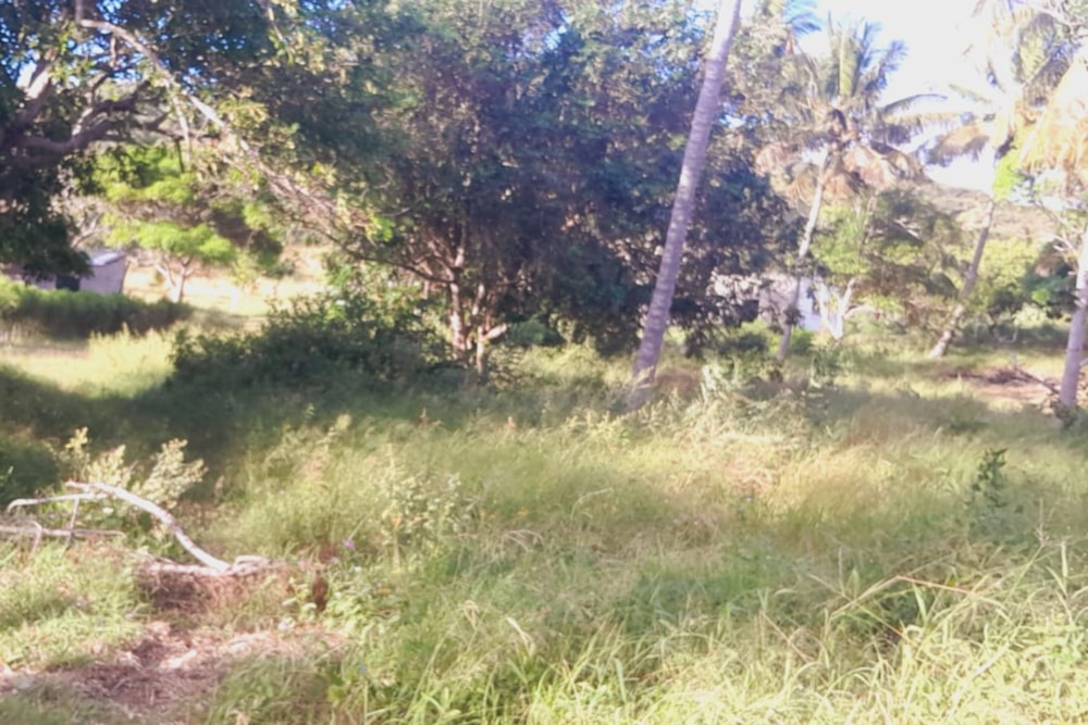 Vacant land for investment in Bilene, Mozambique - 3MQ1660093