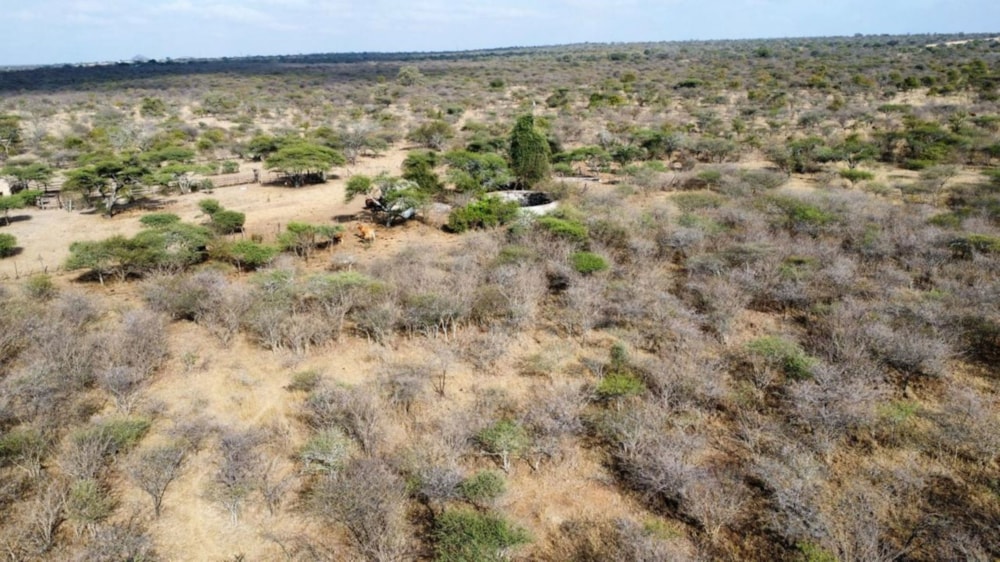 Aquaculture farm for sale in Makhado (Louis Trichardt) - 1TA1660101 Aquaculture farm for sale in Makhado (Louis Trichardt) - 1TA1660101