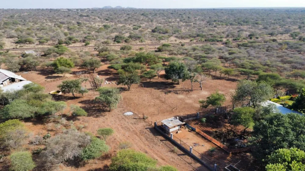 Aquaculture farm for sale in Makhado (Louis Trichardt) - 1TA1660101 Aquaculture farm for sale in Makhado (Louis Trichardt) - 1TA1660101