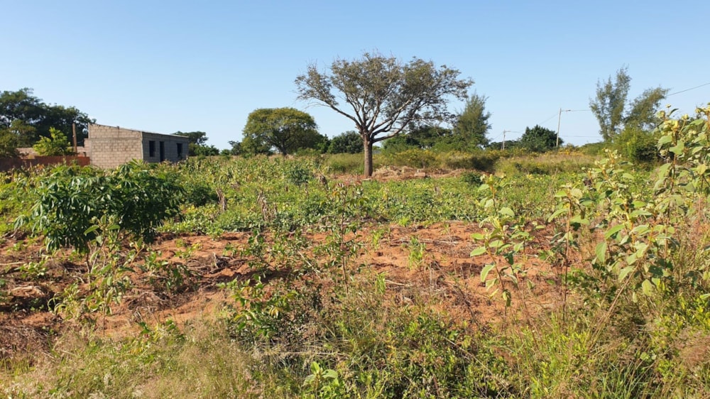 Vacant land for investment in Matola, Mozambique - 3MQ1660128 Vacant land for investment in Matola, Mozambique - 3MQ1660128