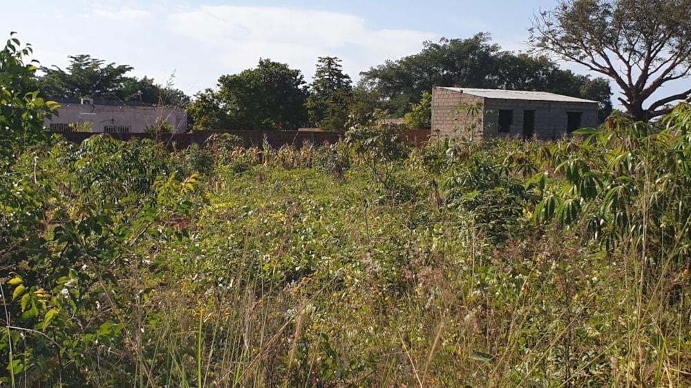 Vacant land for investment in Matola, Mozambique - 3MQ1660128 Vacant land for investment in Matola, Mozambique - 3MQ1660128