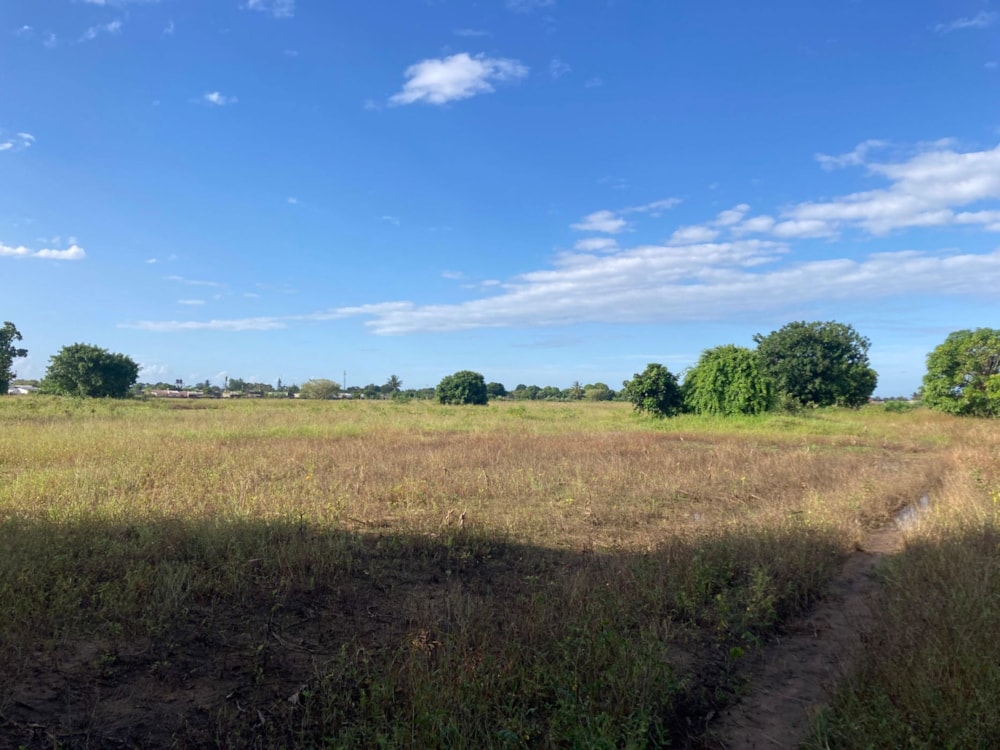 Vacant land for investment in Matola, Mozambique - 3MQ1660128 Vacant land for investment in Matola, Mozambique - 3MQ1660128