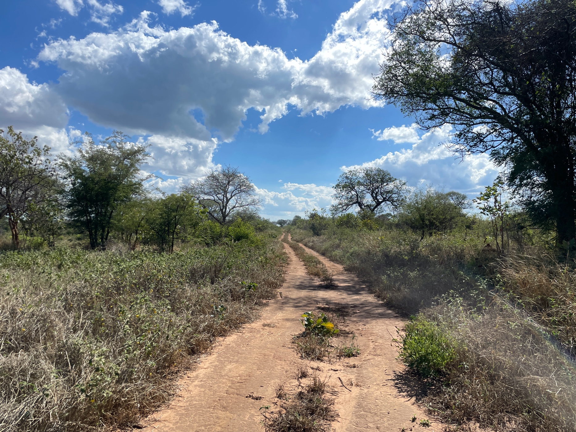 Residential vacant land for sale in Mazabuka, Zambia - 3ZA1660132